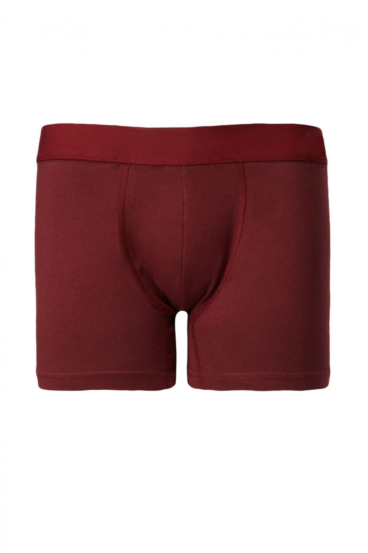 Men's Bordeaux-Lacivert 3-Cotton Flexible Boxer Package