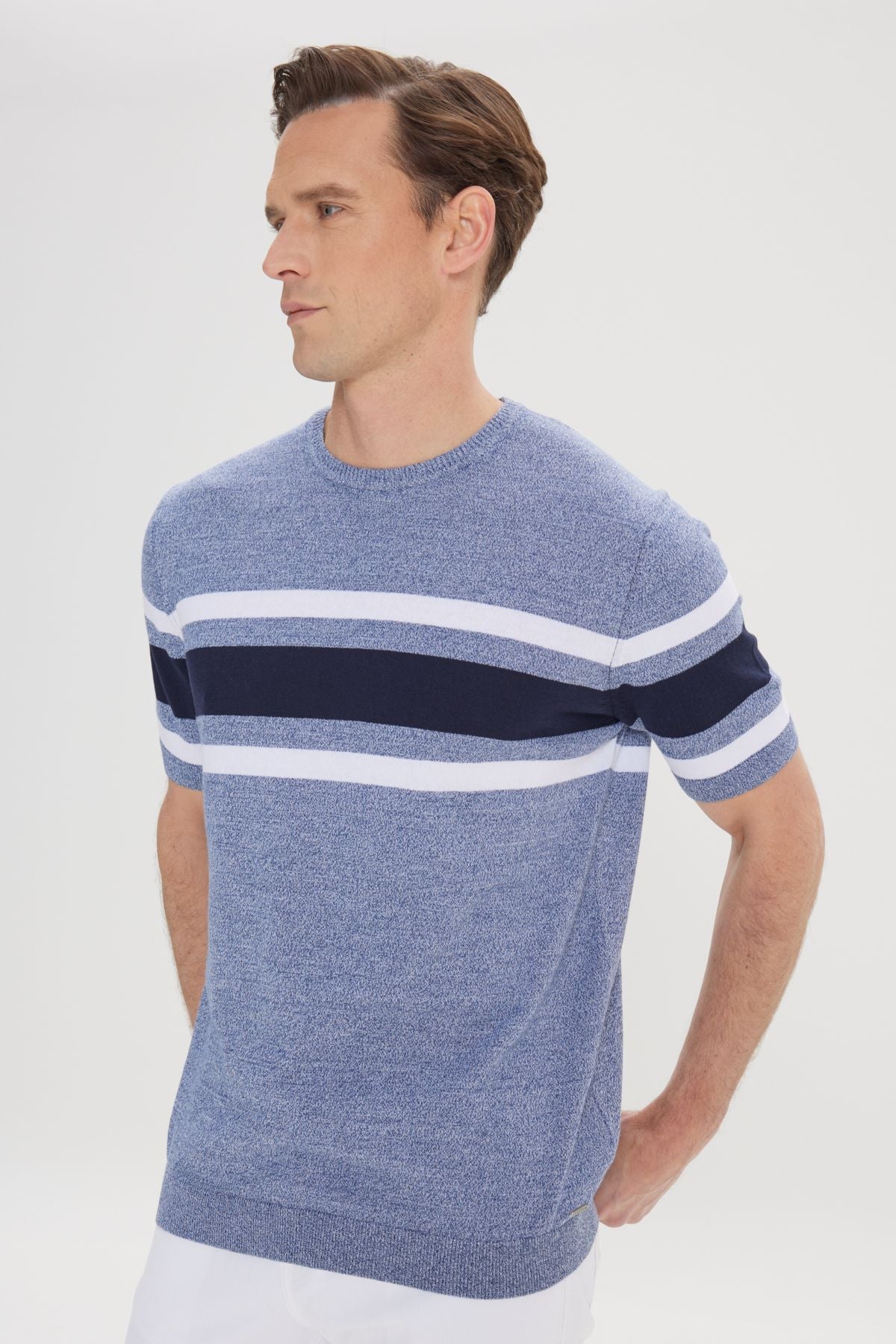 Men's Indigo-Lacivert Standard Fit Normal Normal Cut 100 %Cotton Striped Bicycle Yaka Triko T-shirt