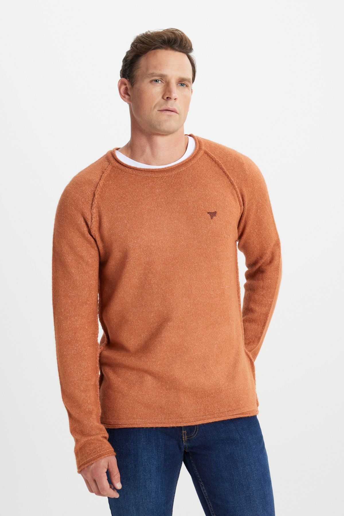 Men's Cinnamon Standard Fit Normal Cut Bicycle Collar Soft textured knitwear sweater