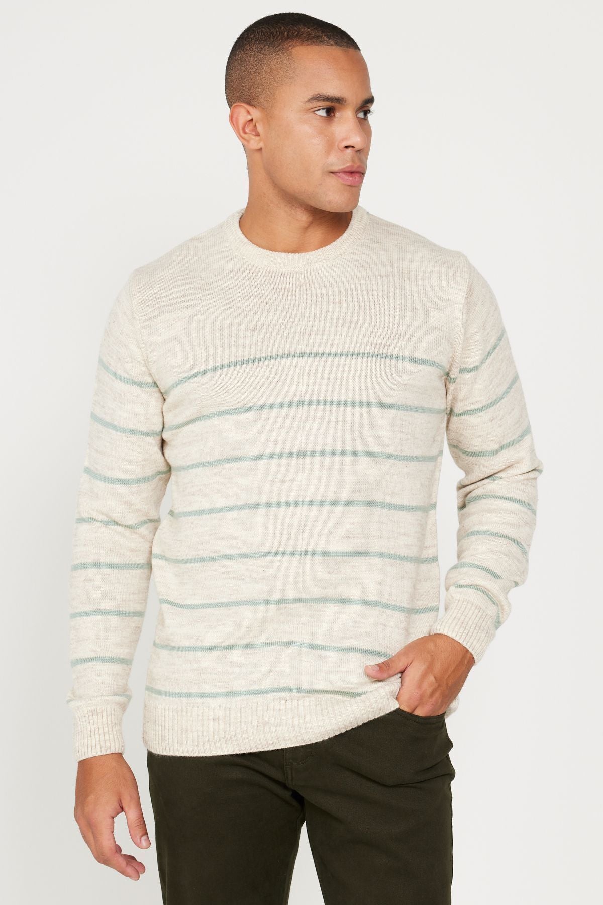 Men's Beige-Mint Standard Fit Normal Cut Cycling Cycling Yaka striped knitwear sweater