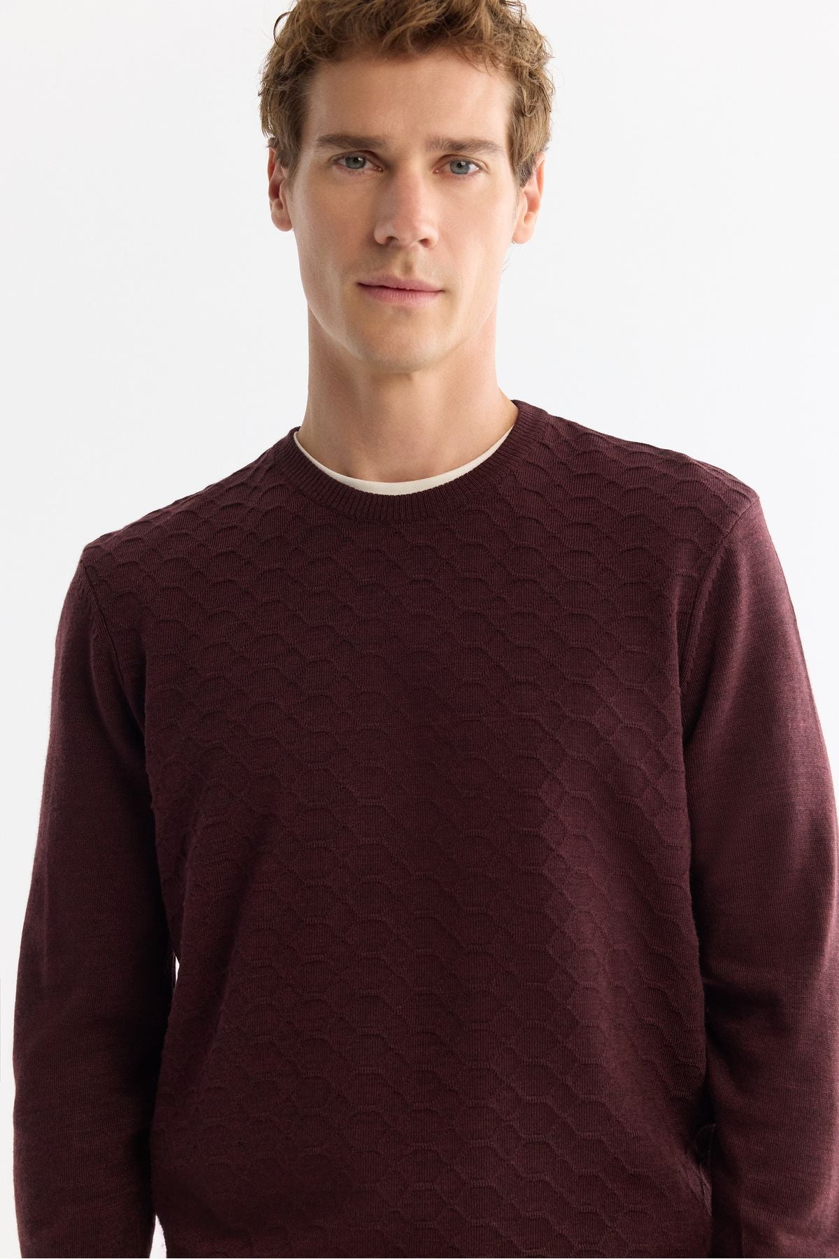 Men's Bordeaux Bicycle Neck textured knitwear sweater E005107