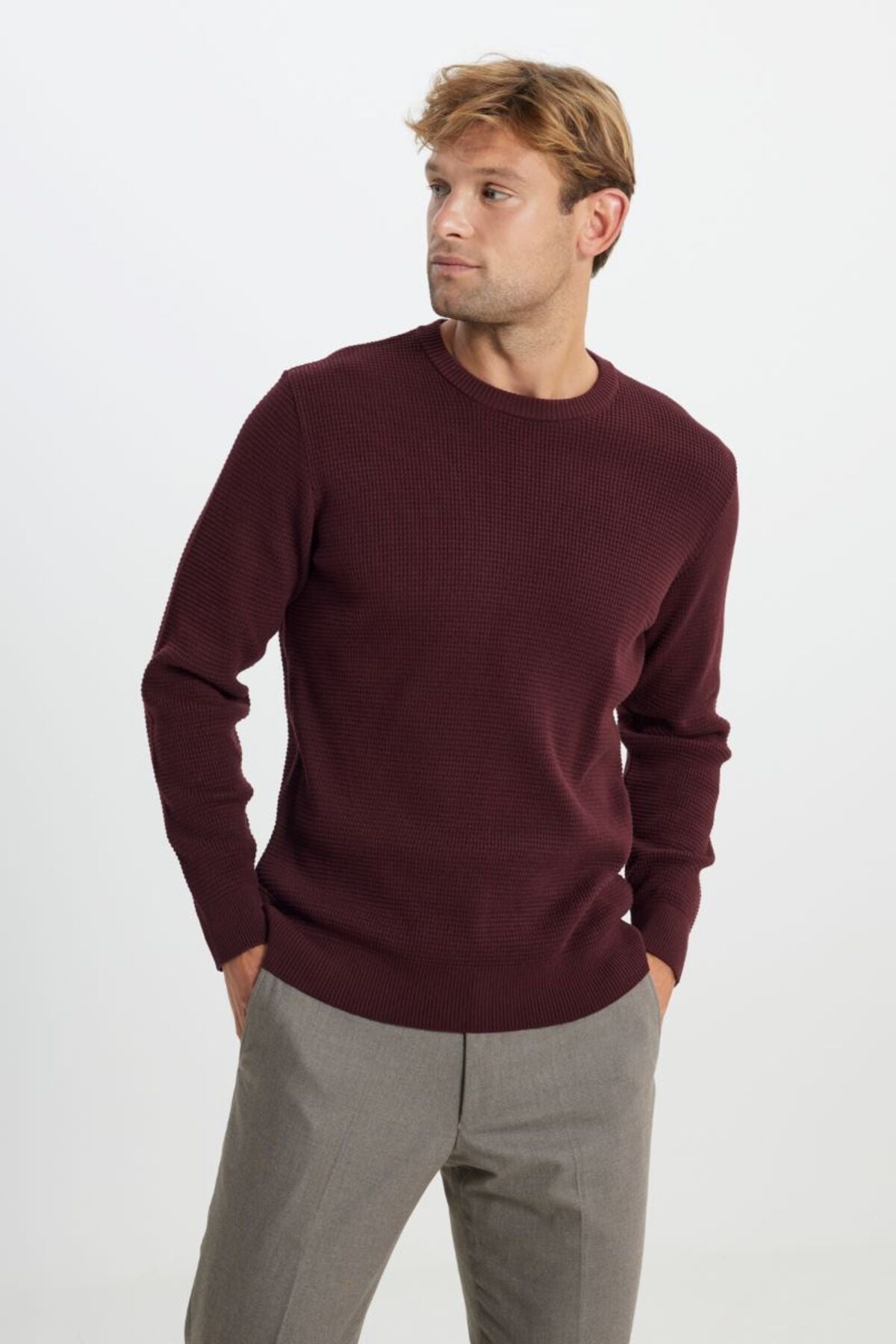 Cotton Standard Fit Normal Cut Cycling Cycling Honeycomb textured knitwear burgundy sweater