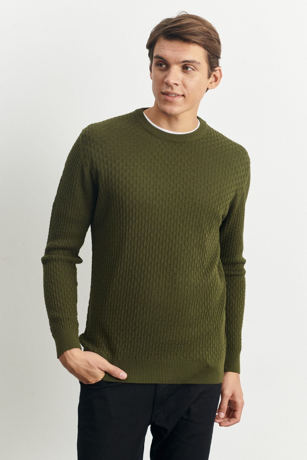 Men's Khaki Standard Fit Normal Cut Bicycle Yaka Jacquard woolen knitwear sweater