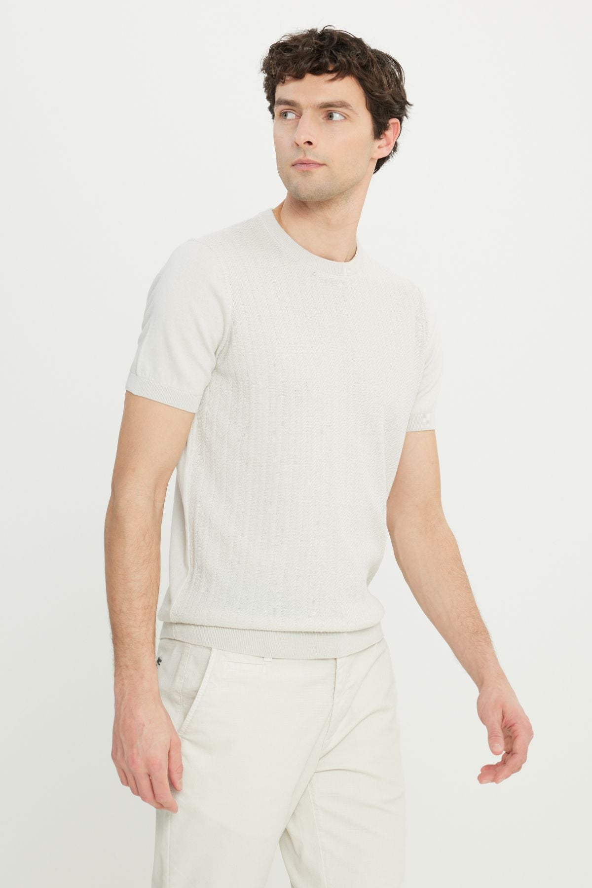 Male Light Gray 100 %Cotton Standard Fit Normal Cut Bicycle Yaka Jacquari Triko T -shirt