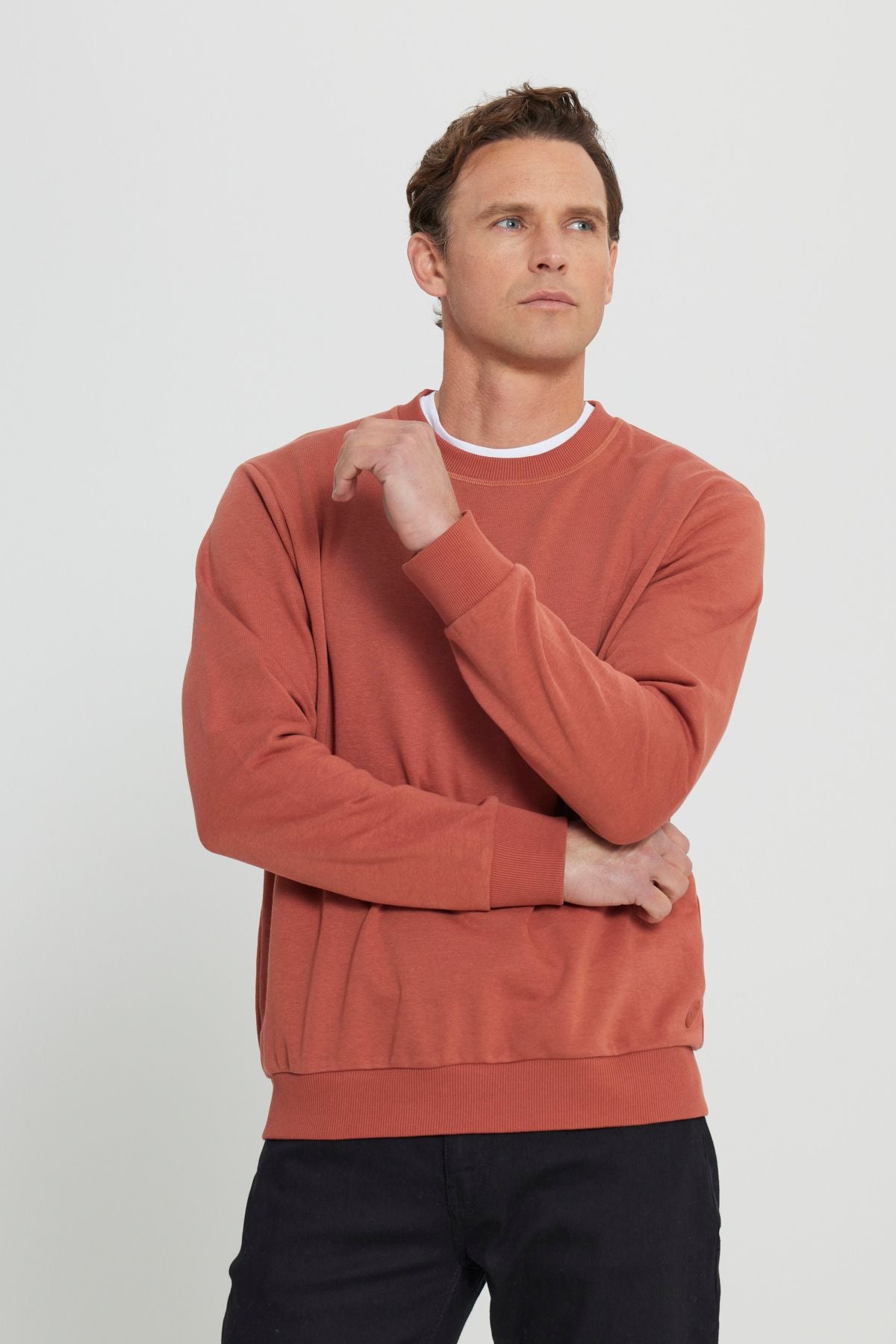 Men's Light Coffee Standard Fit Normal Cut Normal Class Bike 3 IP Cotton Sweatshirt