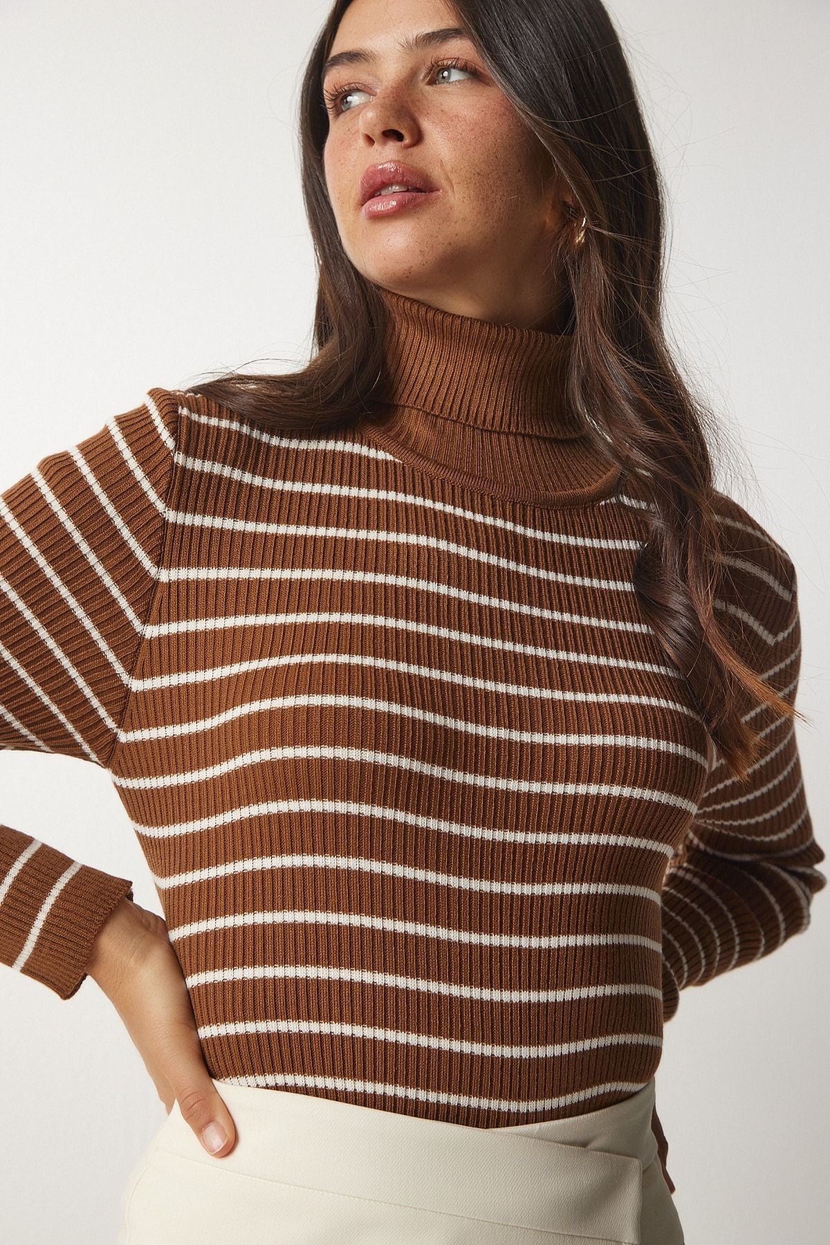 Women's Brown striped fisherman collar knitwear sweater BP00146