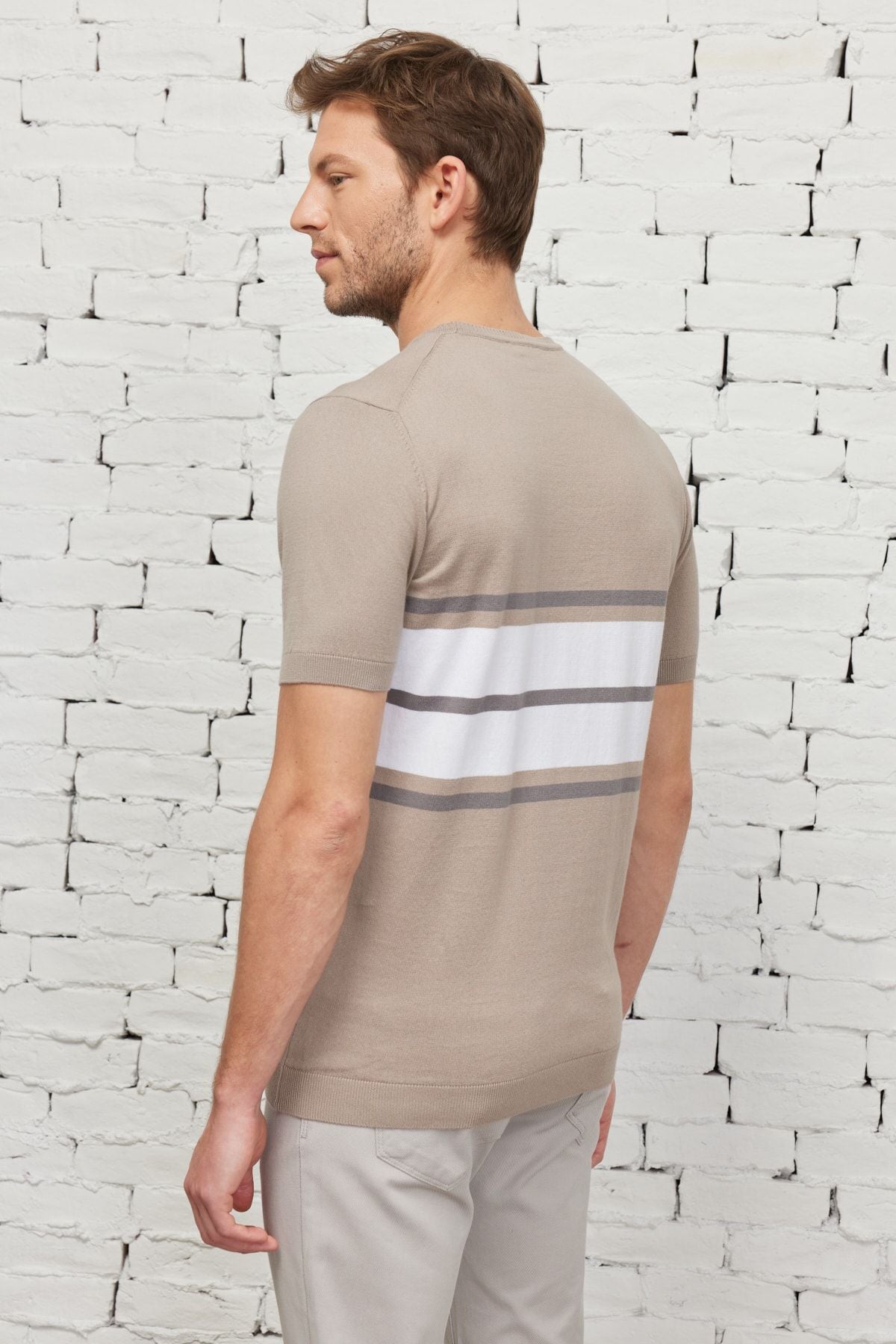 Men's Sizon-Ekru Standard Fit Normal Normal Cut Bicycle Yaka 100 %Cotton Striped Triko T-shirt