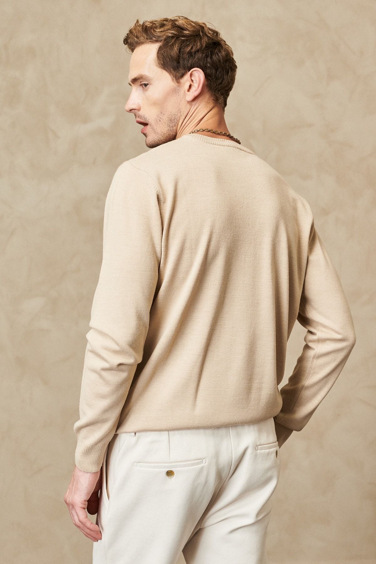 Men's Beige Standard Fit Normal Cut V -Neck Wool Comfortable Knitwear Sweater