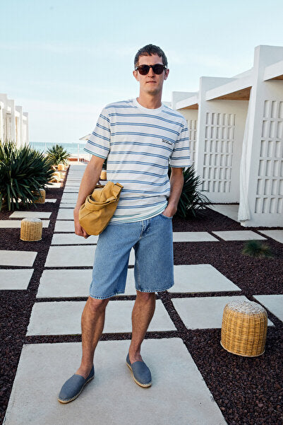 WOODY Men's 100% Cotton Embroidery Detailed Crew Neck Striped Regular Fit White-Blue Striped T-Shirt